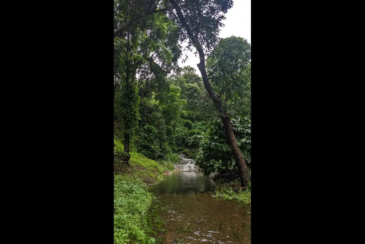 Resort Hill Valley Farm House Nelliyampathy
