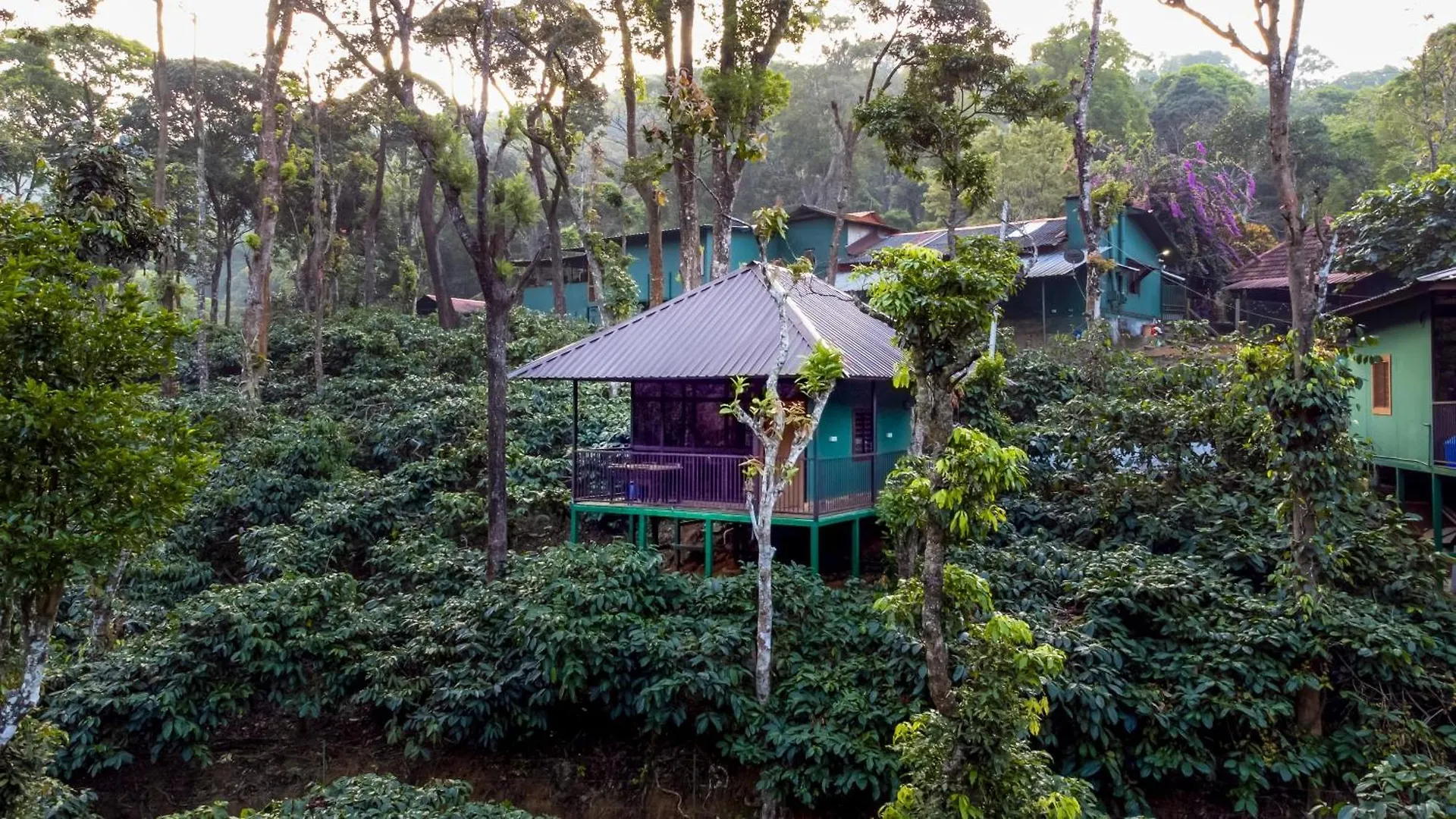 Hill Valley Farm House Nelliyampathy Resort
